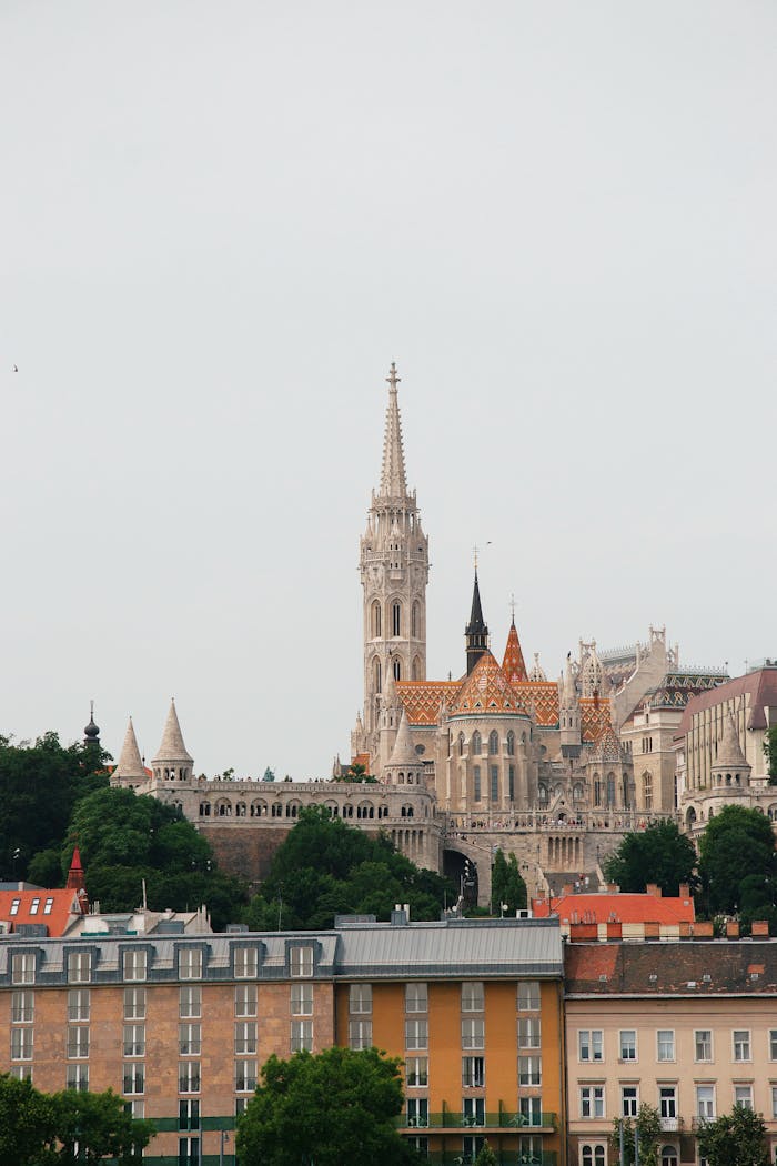 A view of the city of budapest from a hill